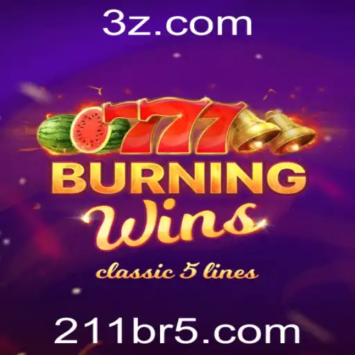 211br Casino App