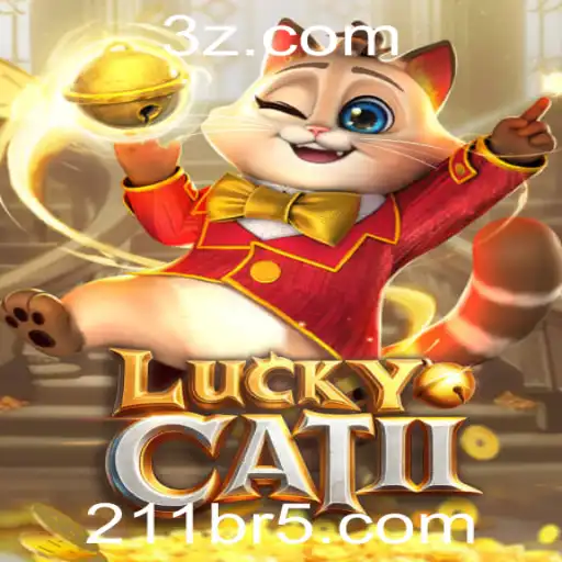 211br Casino App