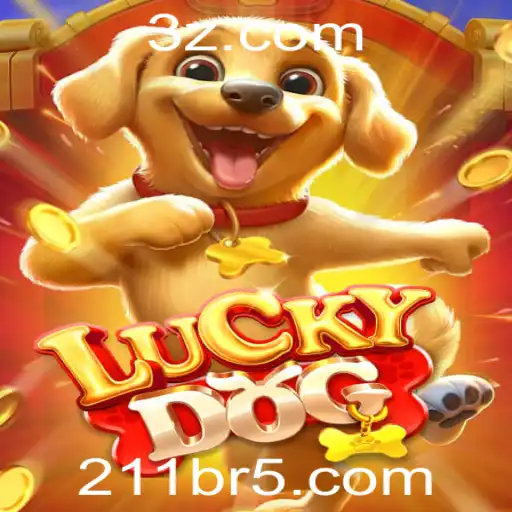 211br Casino App