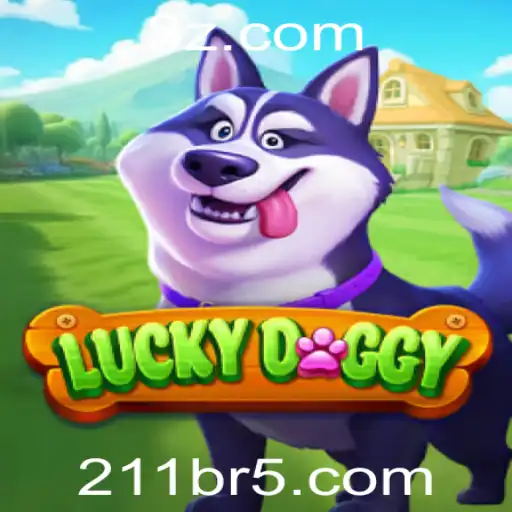 211br Casino App